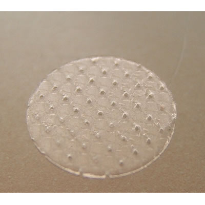 Adhesivo transparente (8 mm.) (600ud.)