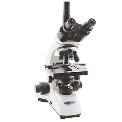 Microscopia